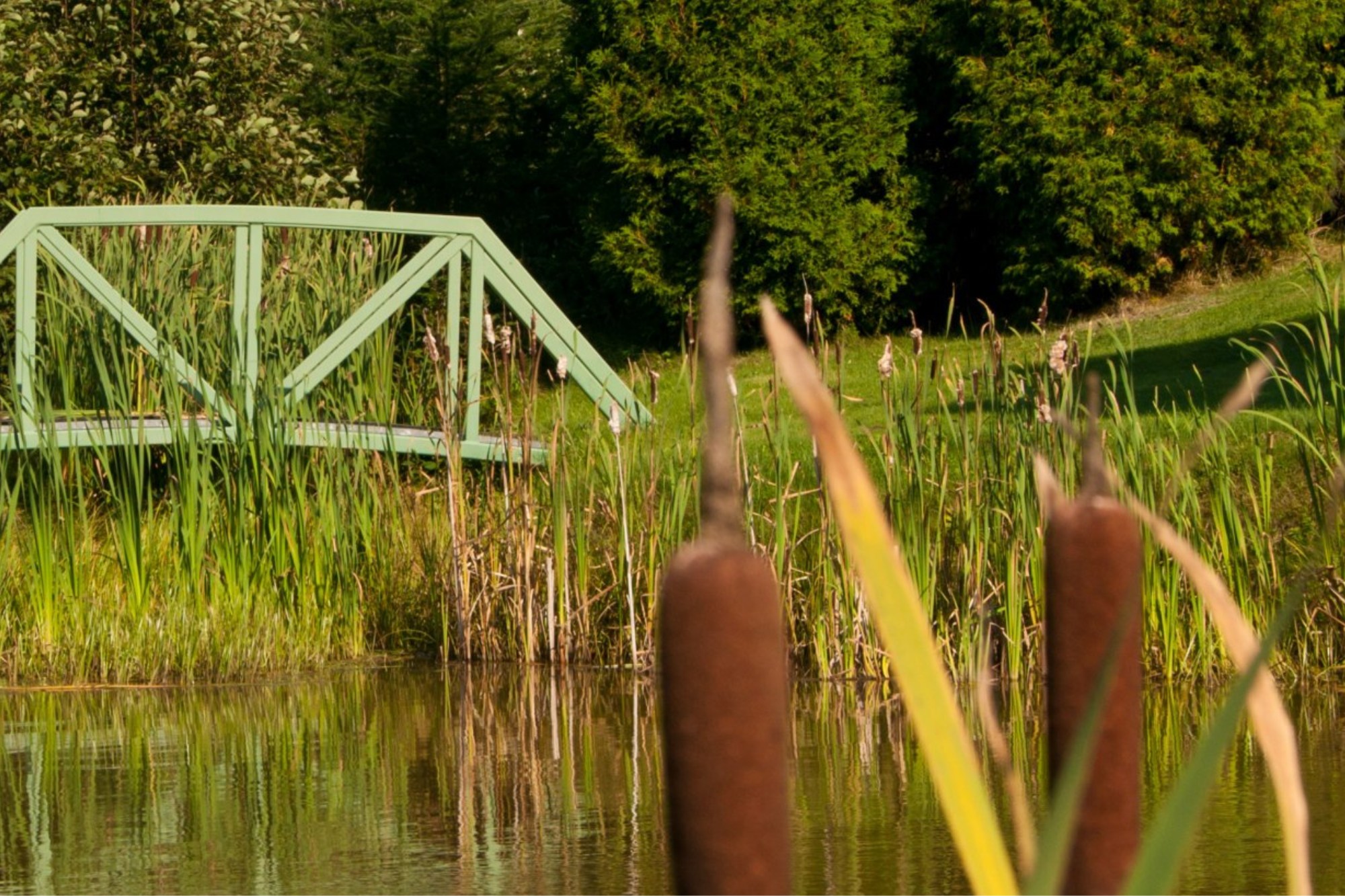 Lac St-Jean, photo 4