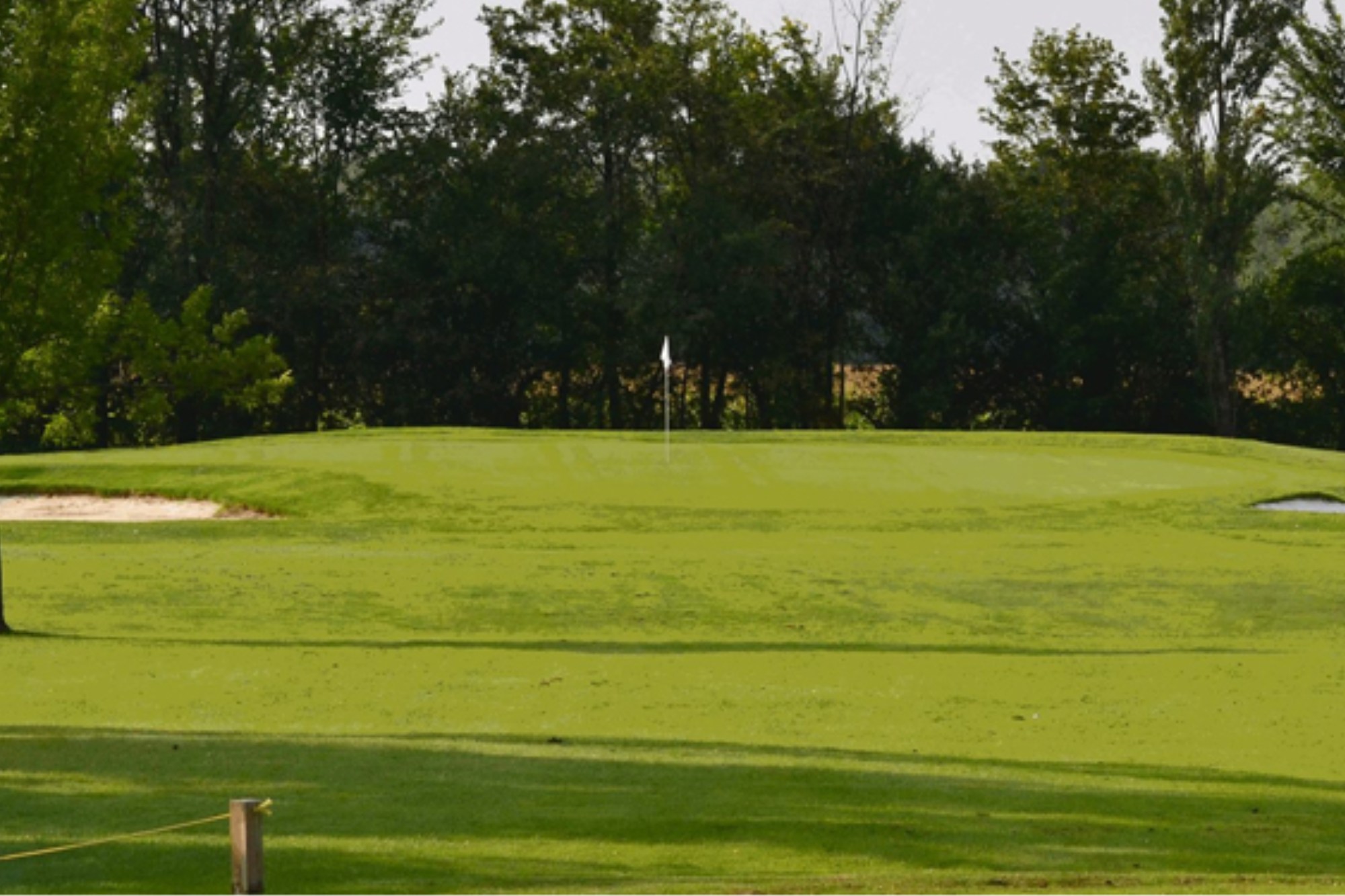 Napierville, photo 5