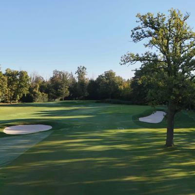 Rivermead #5