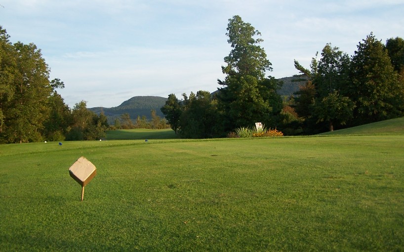 Tee 13