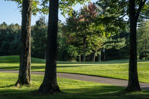 golf-33