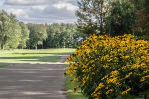 golf-8