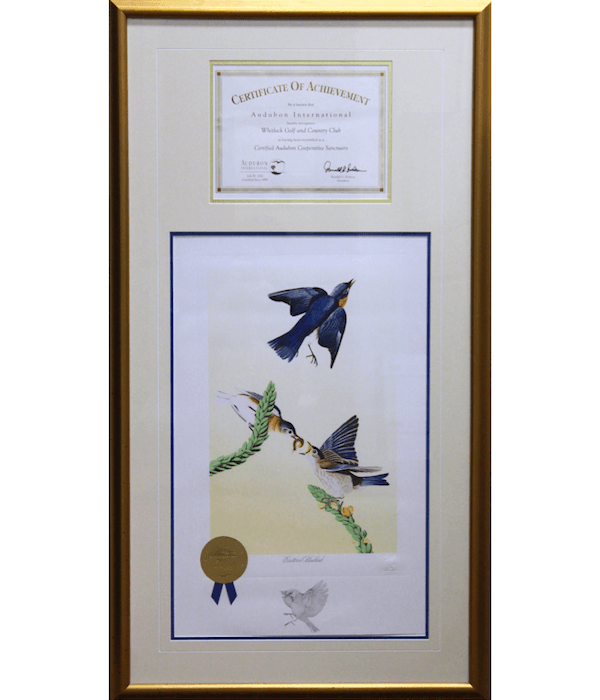 Certified Audubon Cooperative Sanctuary Whitlock